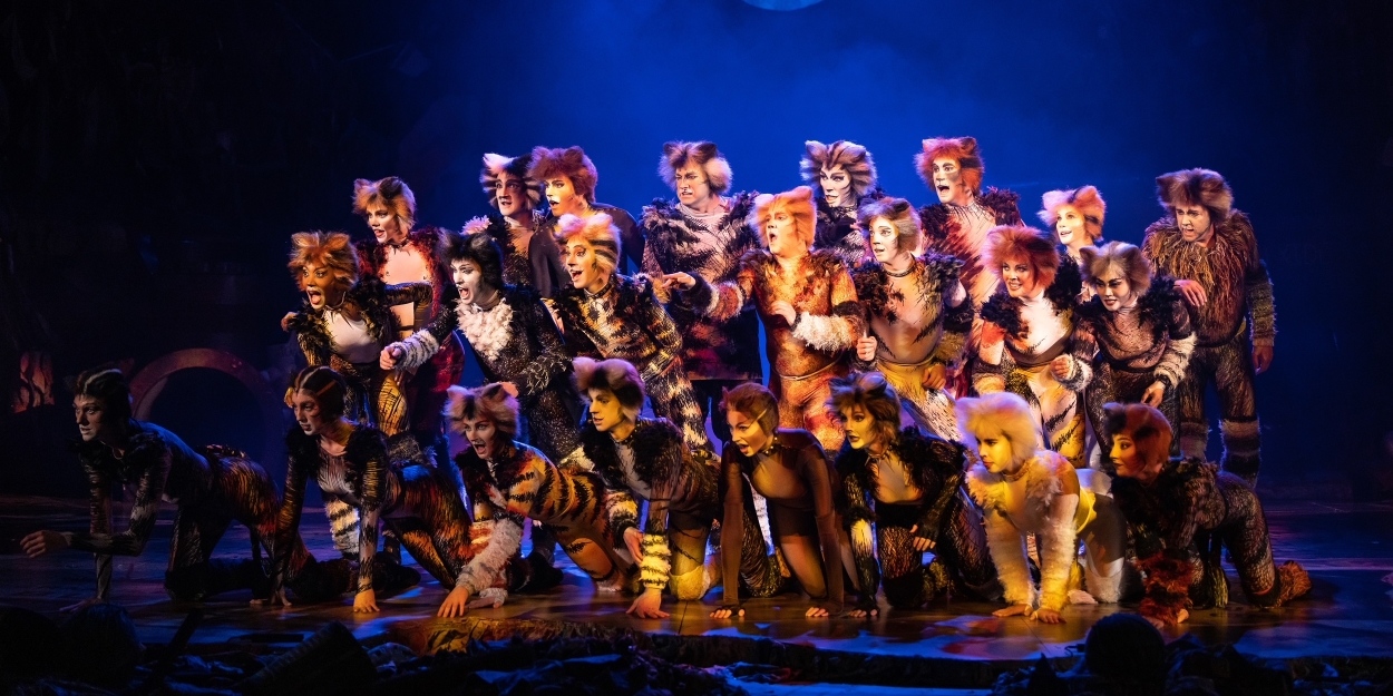 CATS Will Return to South Africa This Year Photo