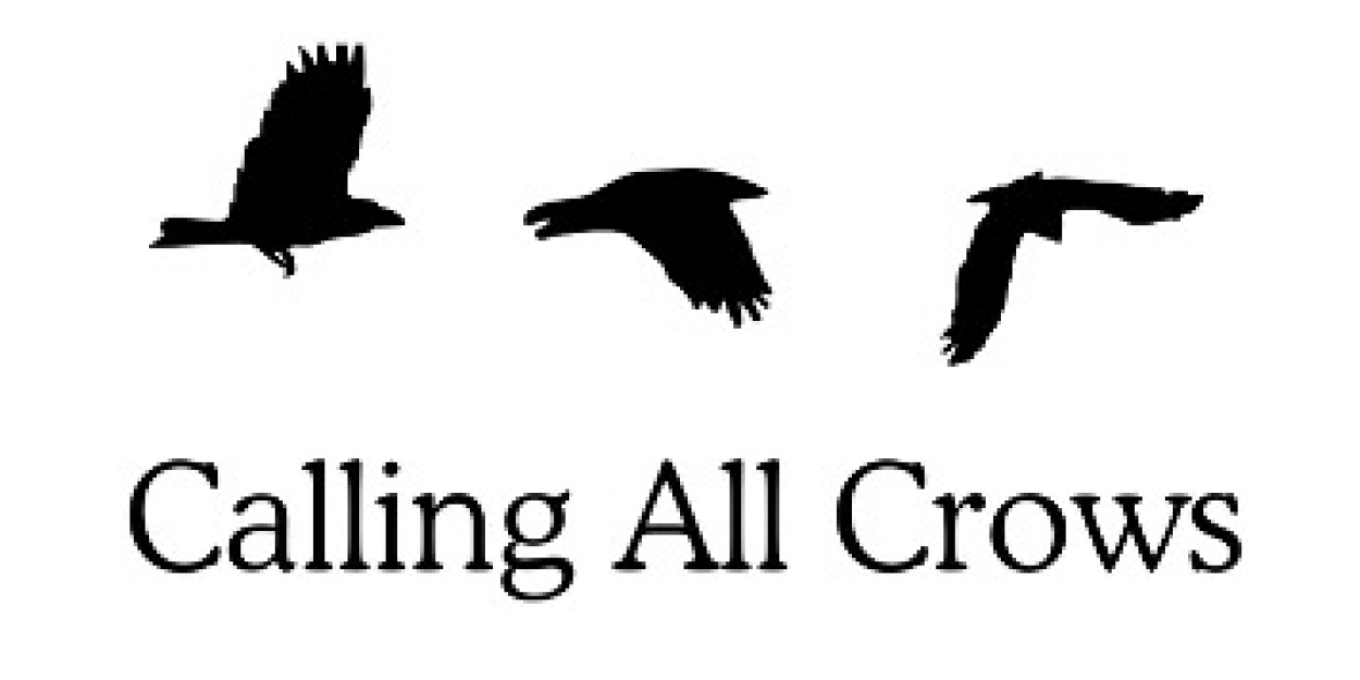 Calling All Crows Announces Newly Appointed Executive Director  Image