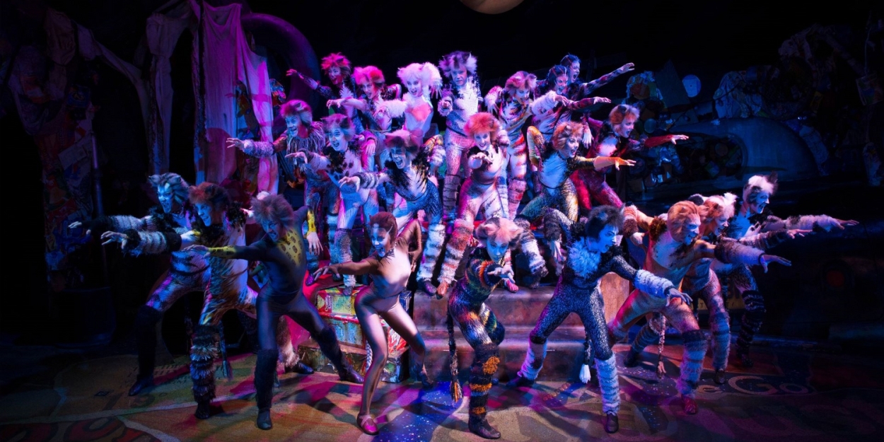 Cats Kommt Als Sommergastspiel 2025 Ins Linzer Musiktheater  Image