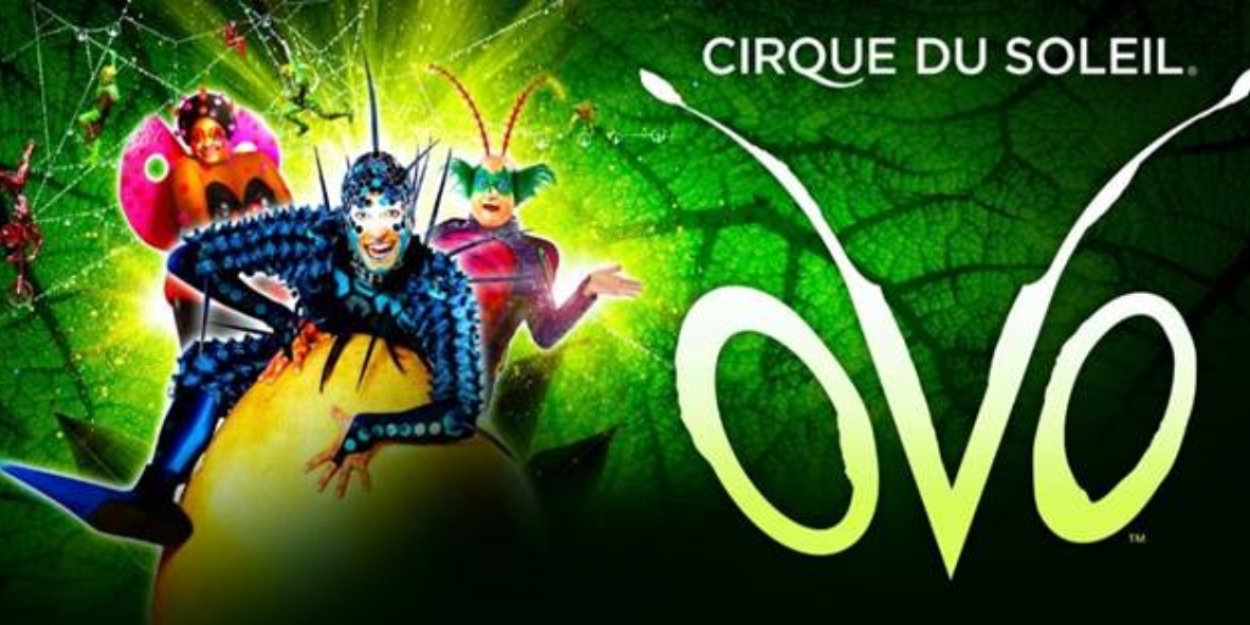 Tickets to Cirque Du Soleil's OVO at Hoffman Estates Now on Sale  Image