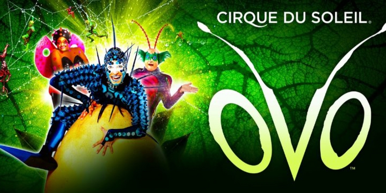 Cirque Du Soleil OVO Will Return on UK Tour 
