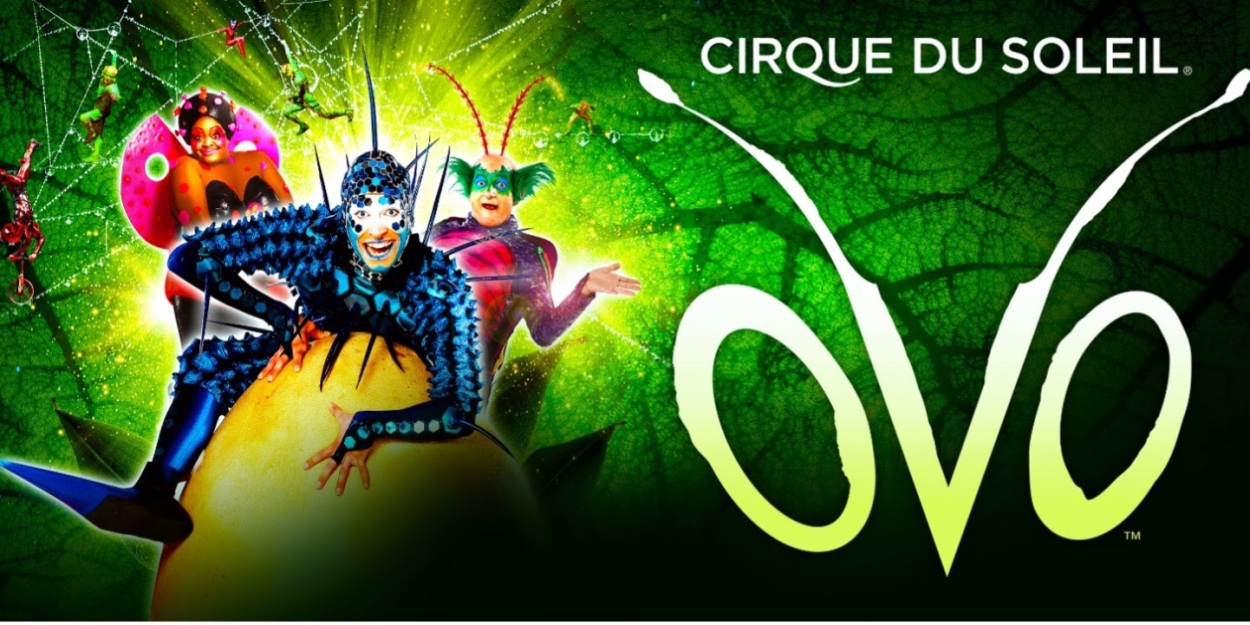 Cirque du Soleil's OVO Comes to Birmingham Next Week 