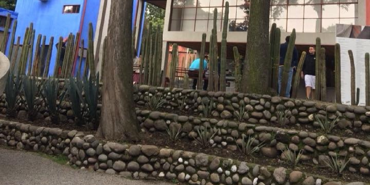 Conmemoran El 70 Aniversario Luctuoso De Frida Kahlo Con El Taller Árbol De La Esperanza  Image