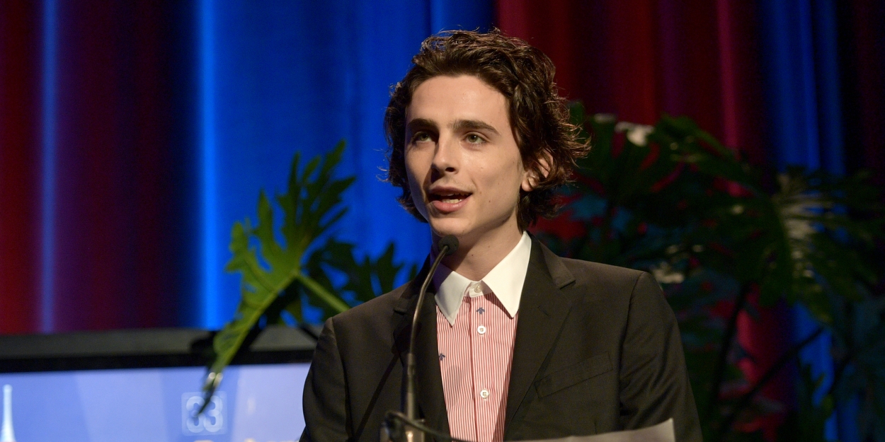 Could Timothee Chalamet Be Returning to the Stage Soon? 
