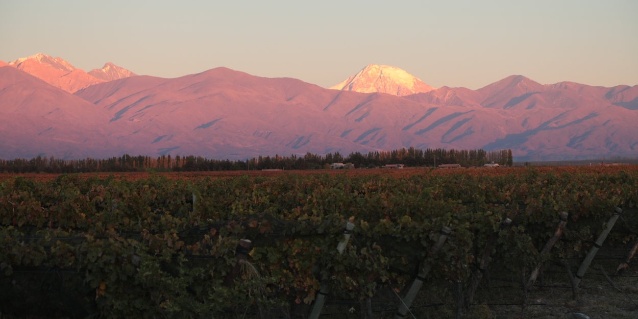 DOMAINE BOUSQUET for Superb Cabernet Wines  Image