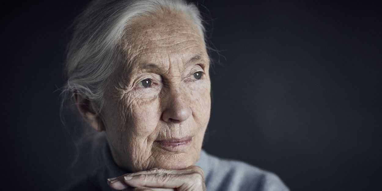 Dr. Jane Goodall To Launch Australia/New Zealand Tour In 2024 