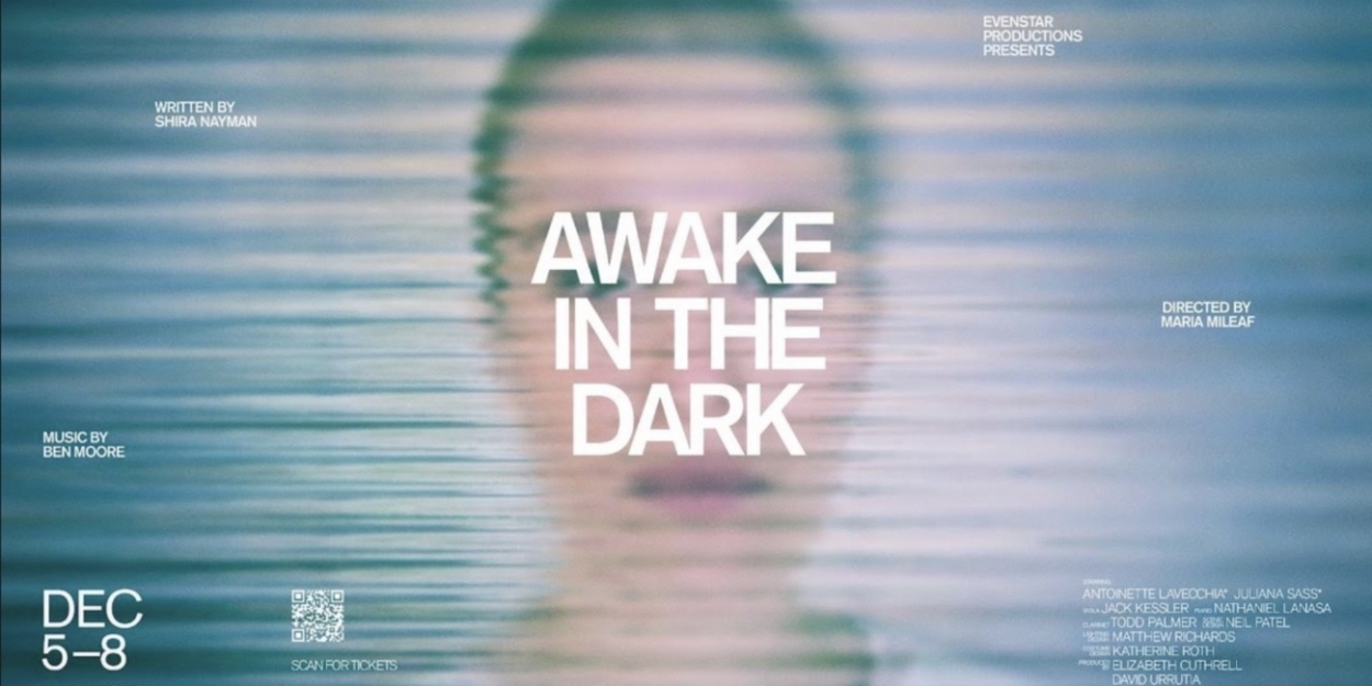 Evenstar Productions to Present AWAKE IN THE DARK Based On Shira Nayman's Bestselling Book  Image