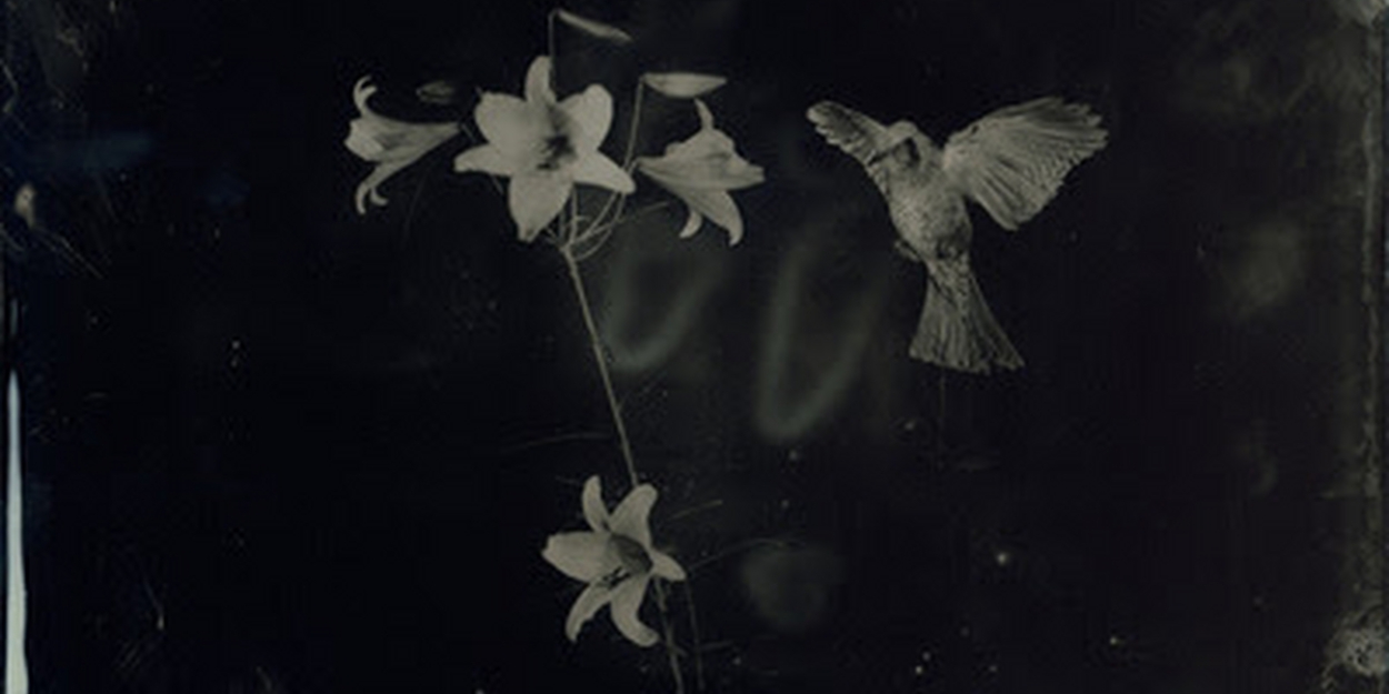 Exhibition by Yamamoto Masao: AMBROTYPES Will be on View at Yancey Richardson 