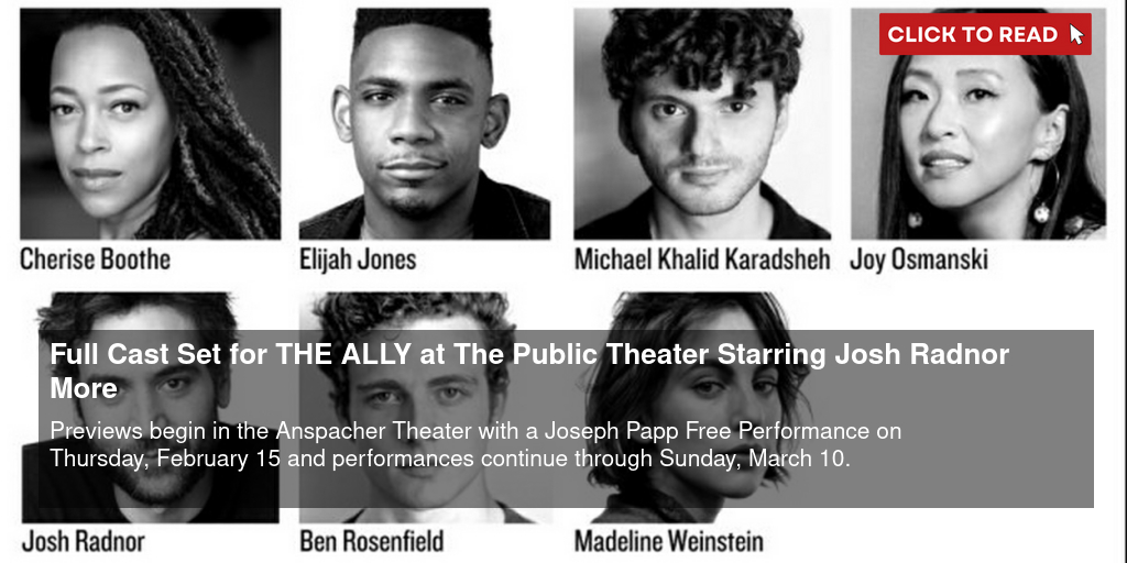 Full Cast Set for THE ALLY at The Public Theater Starring Josh Radnor & More - Vimarsana News