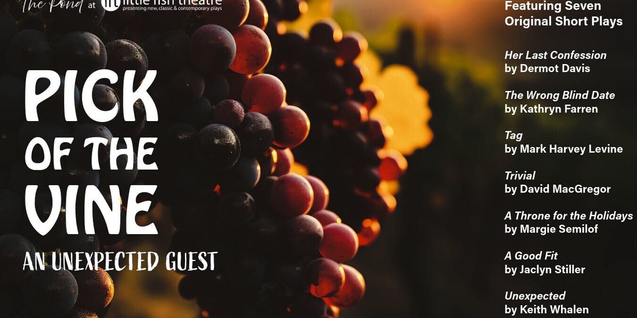 Interview: Director Michael Keith Allen on PICK OF THE VINE…