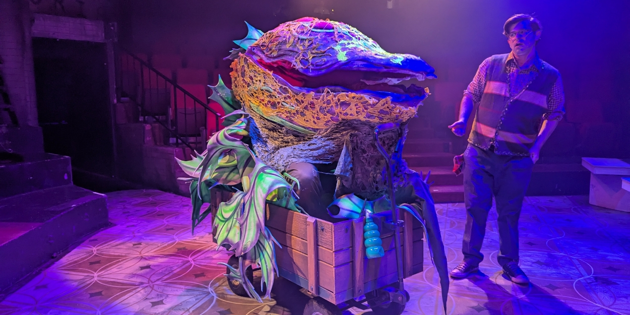 Interview: Justin Meyer on Directing LITTLE SHOP OF HORRORS at The Nocturne Theatre Photo