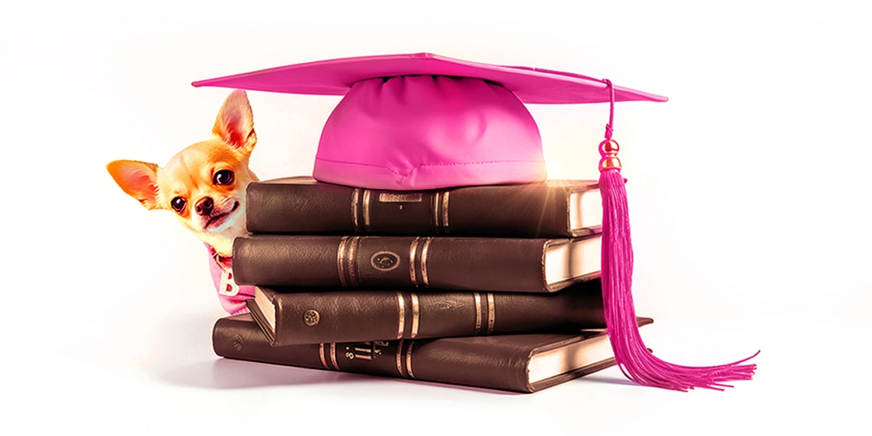 LEGALLY BLONDE THE MUSICAL is Coming To Wolverhampton Grand In 2026