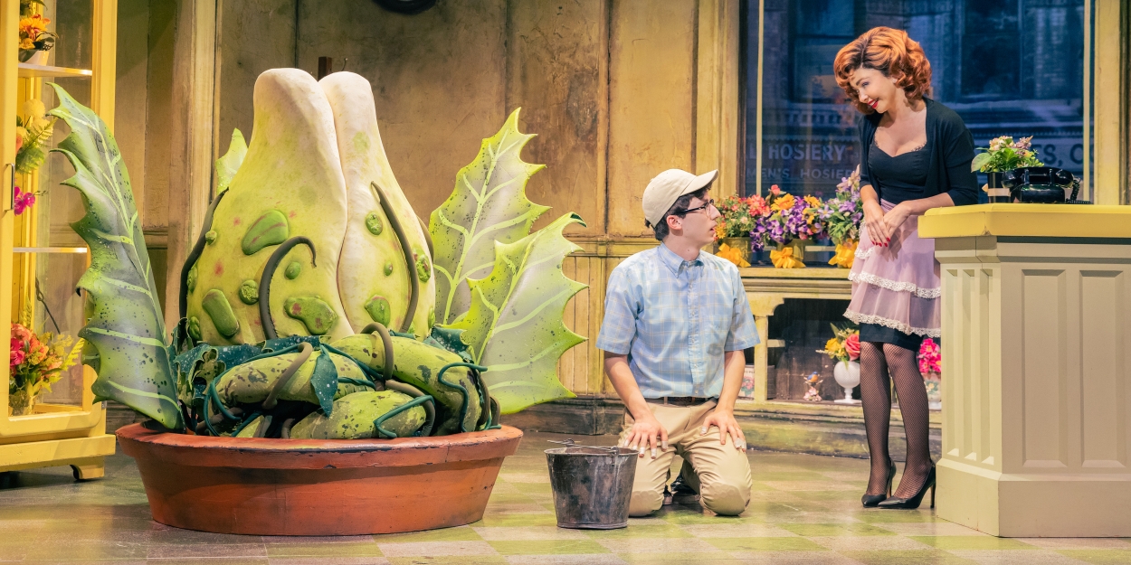 LITTLE SHOP OF HORRORS to Unveil 'Audrey II' Times Square Installation Photo