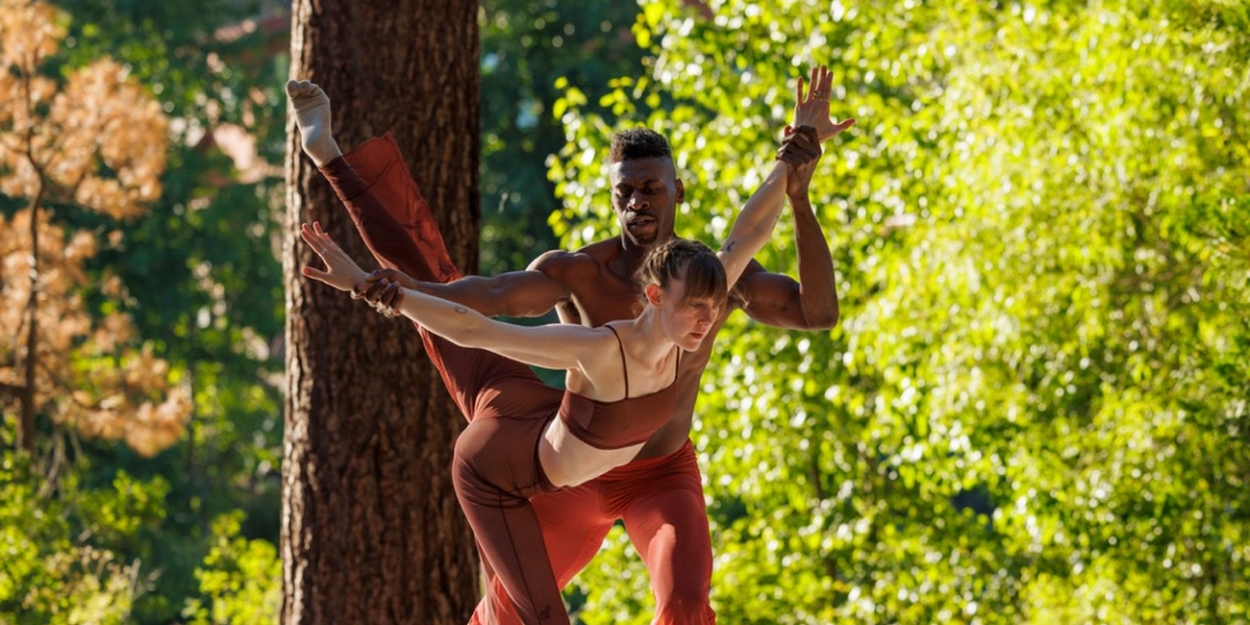 Lake Tahoe Dance Collective to Host Opening Night Gala  Image