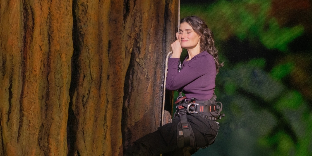Listen: REDWOOD Releases Original Broadway Cast Recording Photo