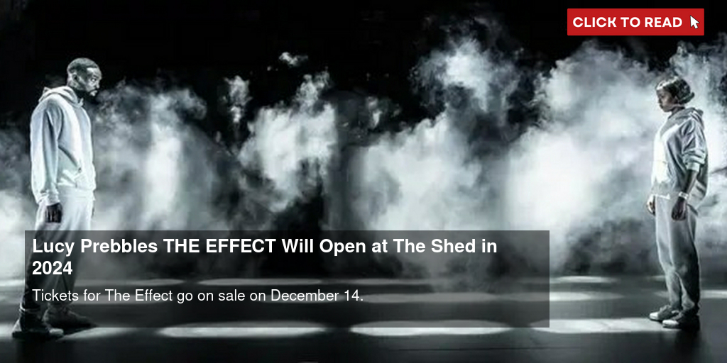 The Effect - The Shed