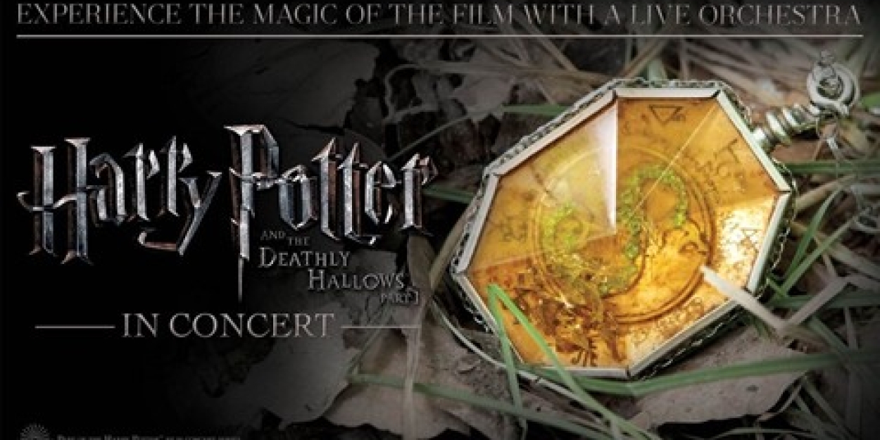 Madison Symphony Orchestra Will Perform HARRY POTTER AND THE DEATHLY HALLOWS PART 1 in Concert  Image