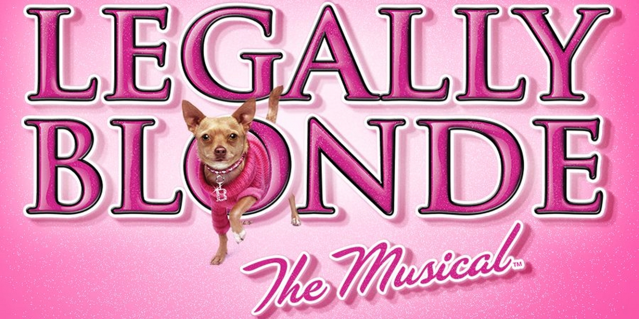 Moonbox Productions Presents LEGALLY BLONDE: The Musical, December 8-31 
