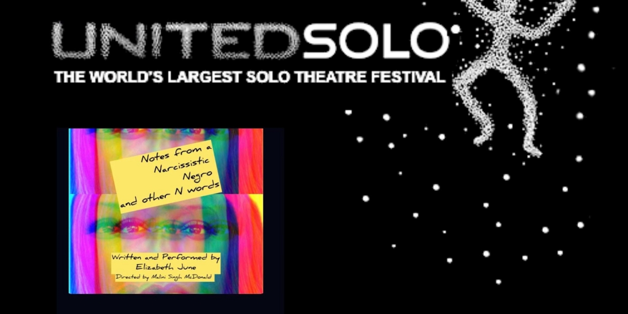 NOTES FROM A NARCISSISTIC NEGRO AND OTHER N WORDS to Play United Solo Festival Photo