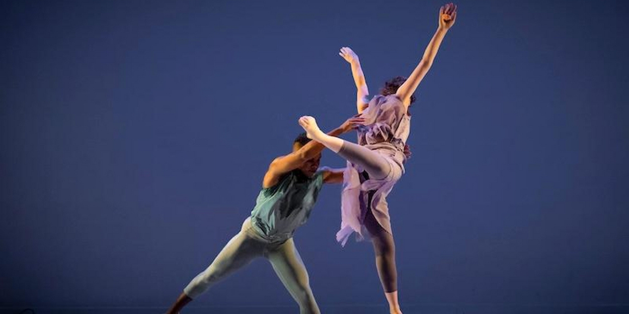 Nancy Karp + Dancers Unveils 2024 Season With Musical Guests Friction Quartet 