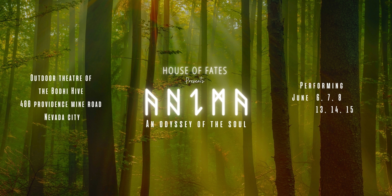 Nevada County Creative Ensemble Presents ANIMA At Bodhi Hive  Image