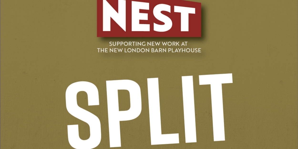 New London Barn Playhouse And Transport Group Announces Developmental Production Of SPLIT  Image