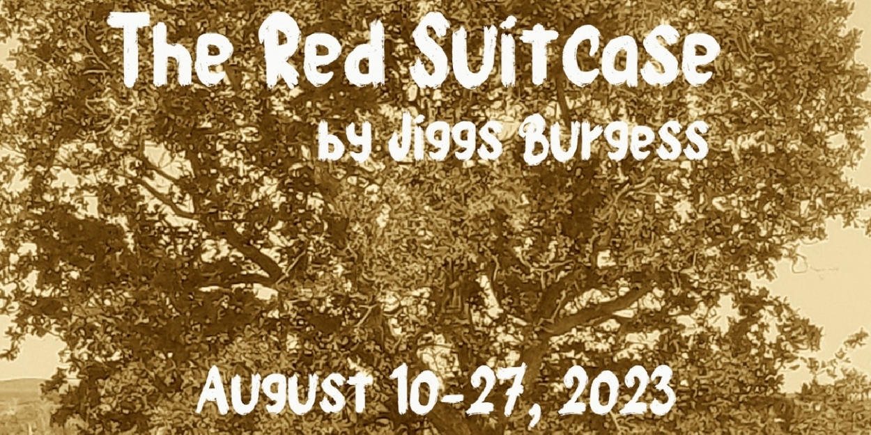 P3 Theatre Company to Present World Premiere of THE RED SUITCASE Beginning Next Month 