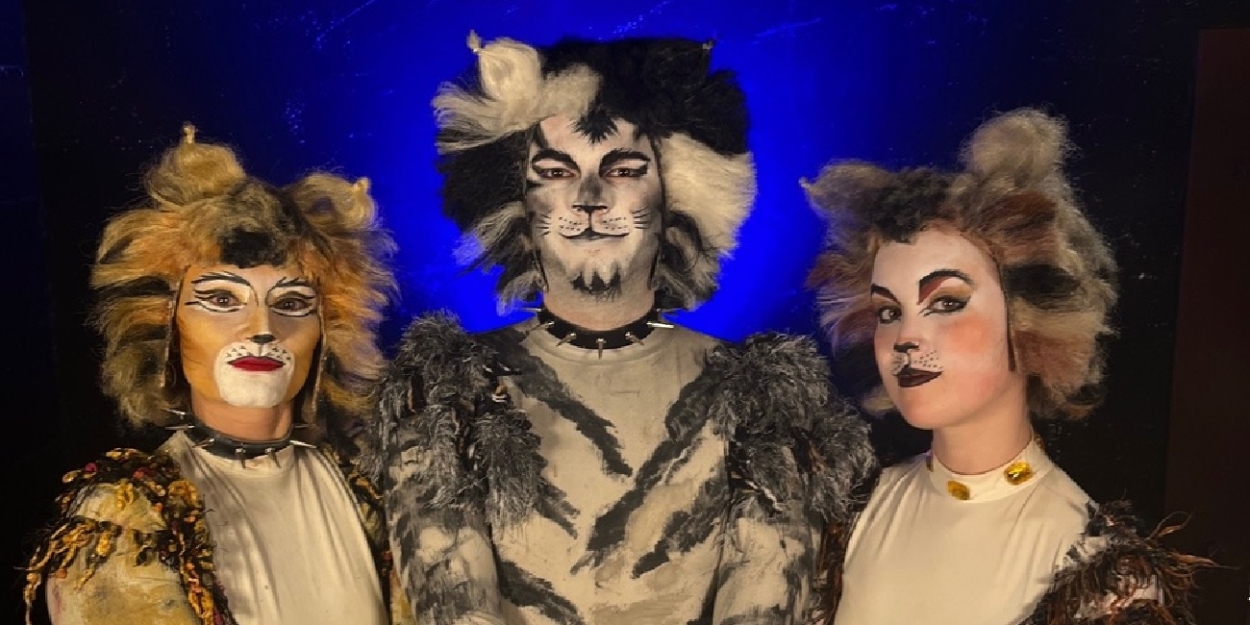 CATS Musical Opens June 14 At The Belmont Theatre 