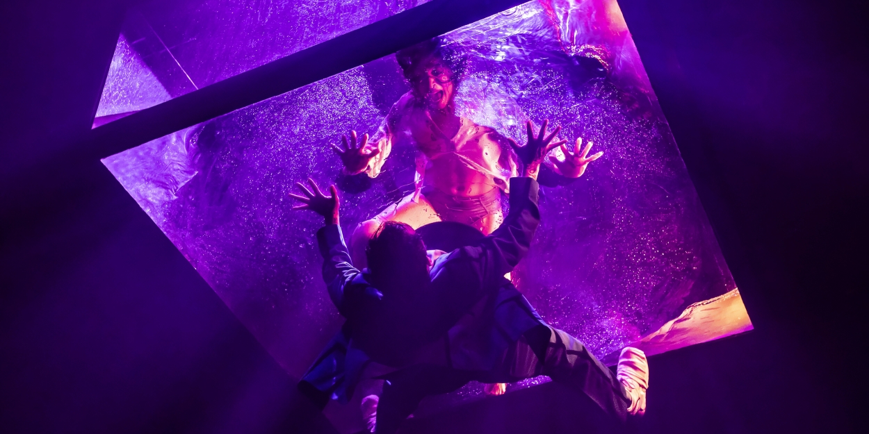 Photos: Fuerza Bruta Returns To London In AVEN Photo