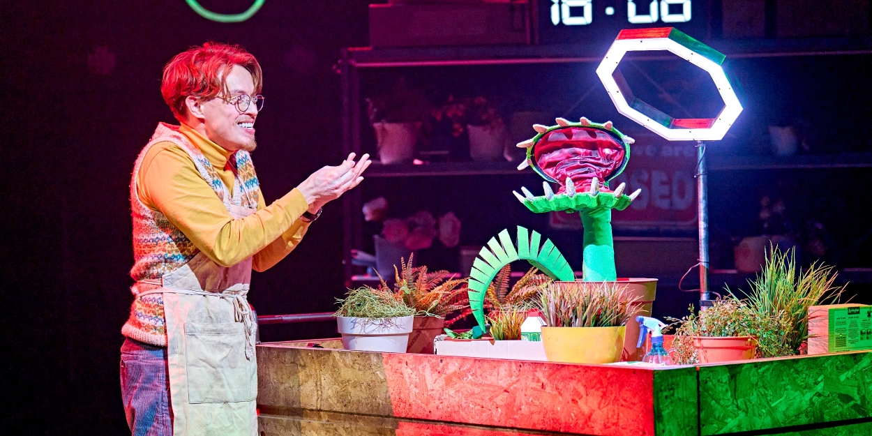 Photos: LITTLE SHOP OF HORRORS at the Crucible Theatre, Sheffield Photo