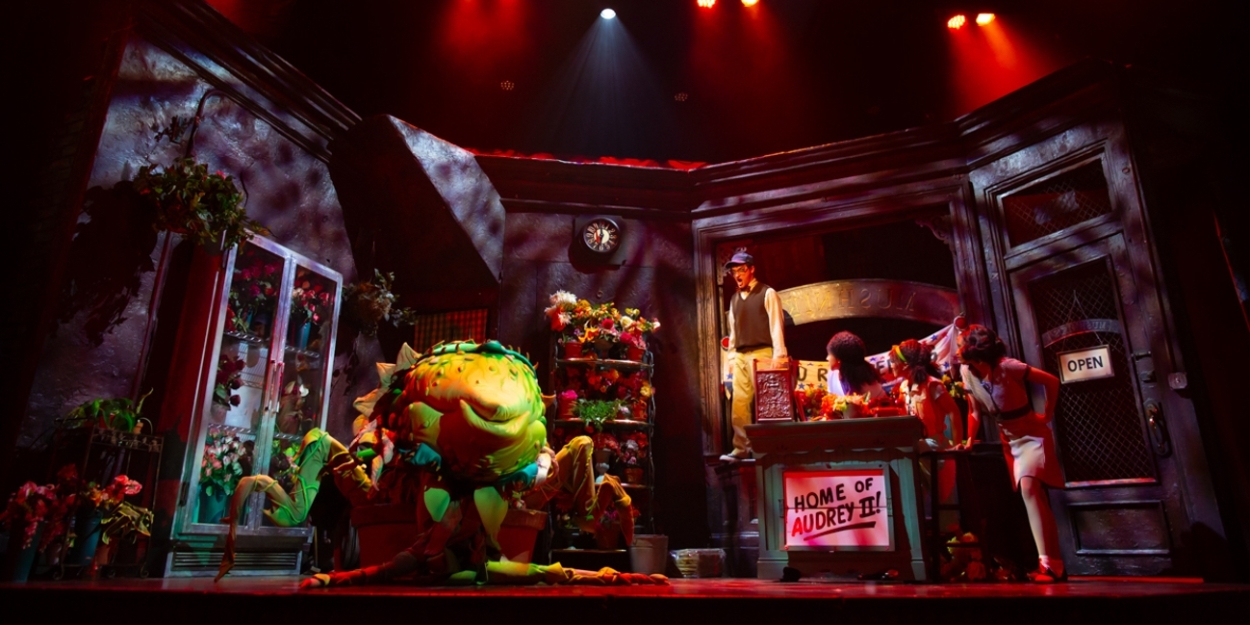 Photos: 5-Star Theatricals' LITTLE SHOP OF HORRORS at Bank of America Performing Arts Center Photo