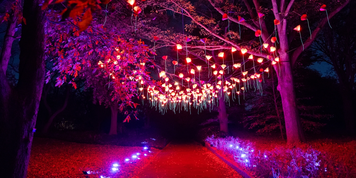 Photos: Brooklyn Botanic Garden's LIGHTSCAPE Opens to the Public Photo