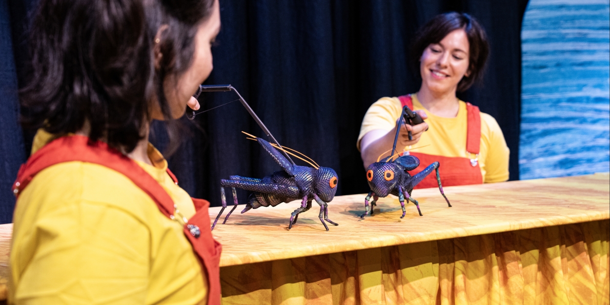 Photos: Get a 1st Look at the Puppets in The Eric Carle Story Show at  Theater 555