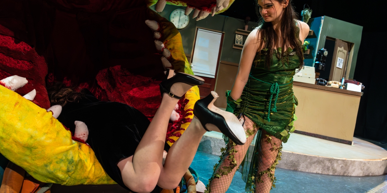 Photos: First look at Dublin Jerome High School Drama Club presents LITTLE SHOP OF HORRORS Photo