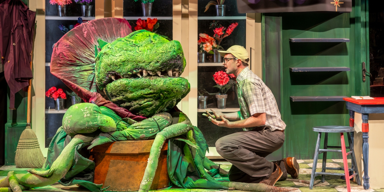 Photos: Music Theater Works' LITTLE SHOP OF HORRORS Photo