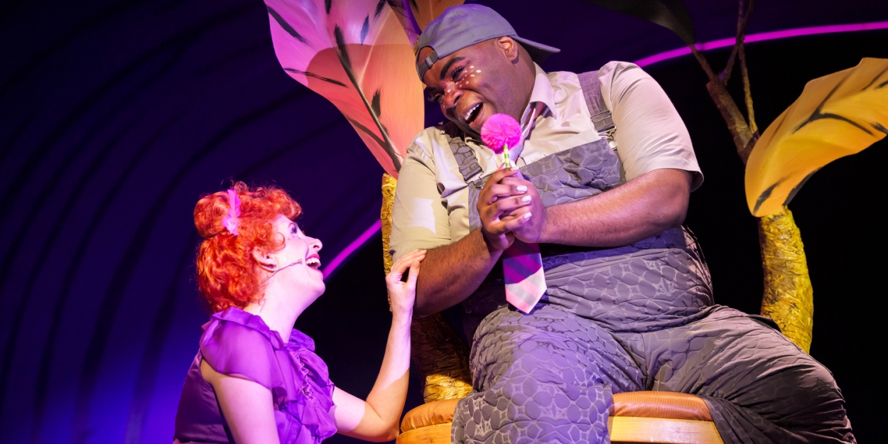 Photos: SEUSSICAL THE MUSICAL At The Phoenix Theatre Company