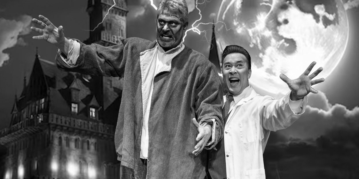 Previews: YOUNG FRANKENSTEIN at Davis Musical Theatre Company Photo