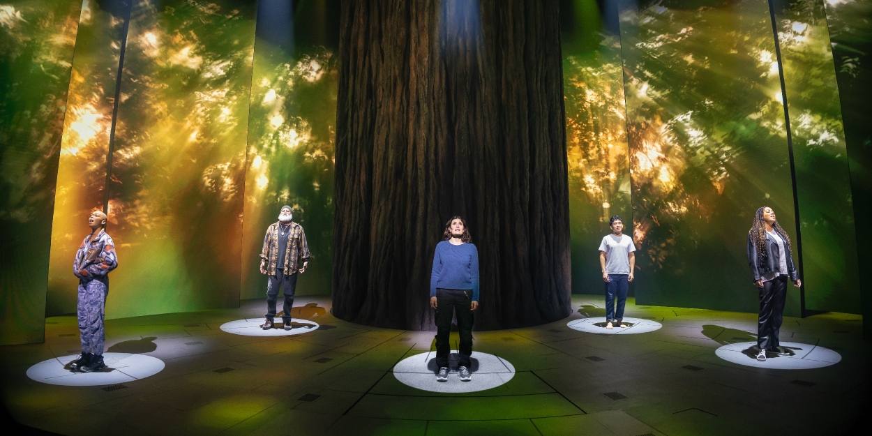 REDWOOD Plays Final Broadway Performance Photo