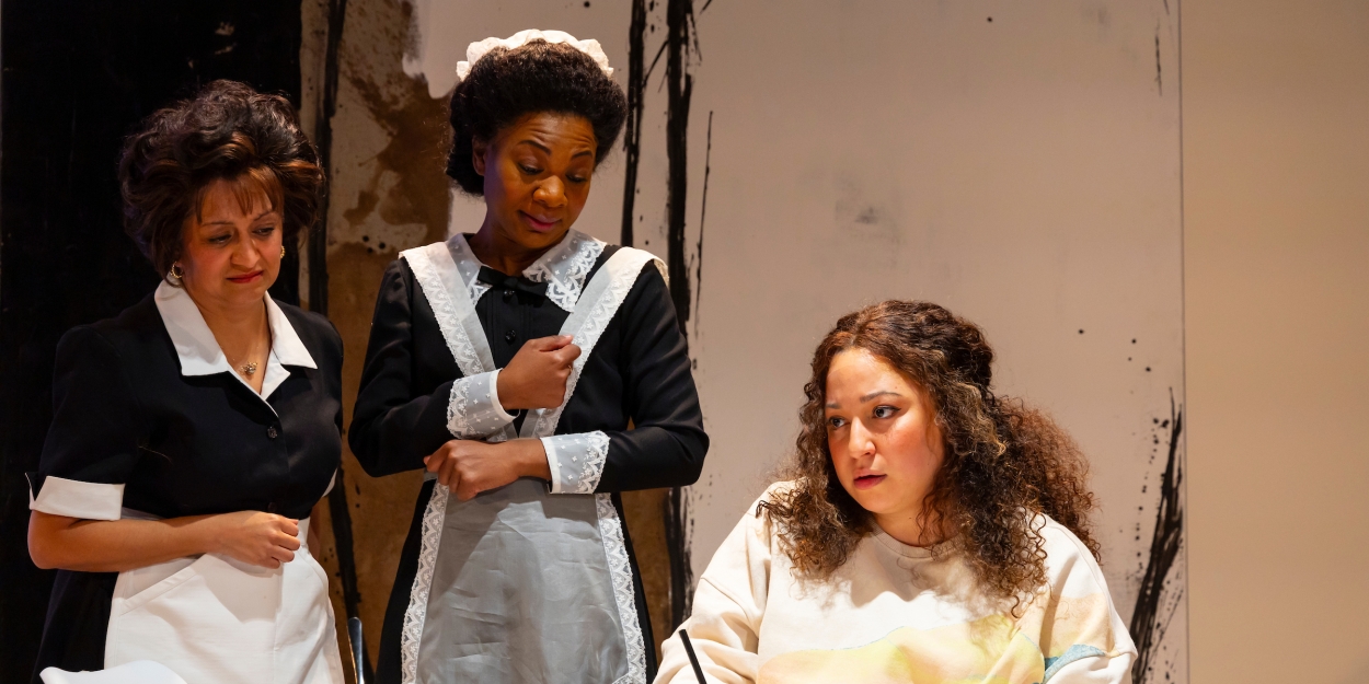 Review: A THOUSAND MAIDS at Two River Theater-Meaningful and Humorous 