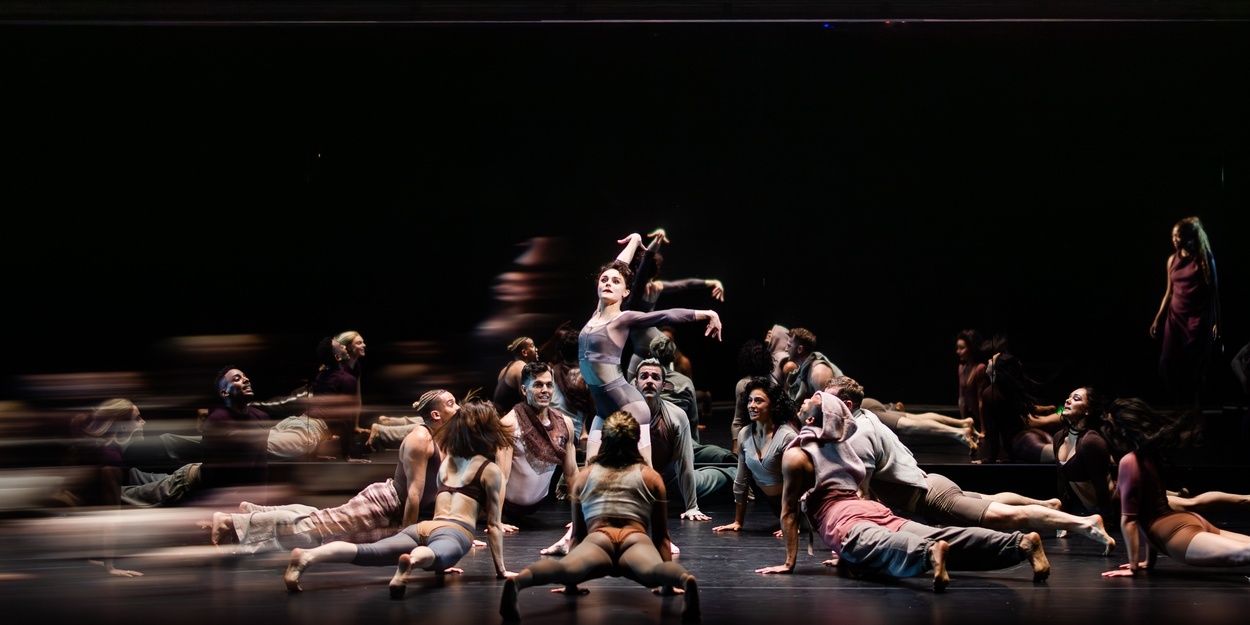 A Thrilling BLACK SWAN at American Repertory Theater