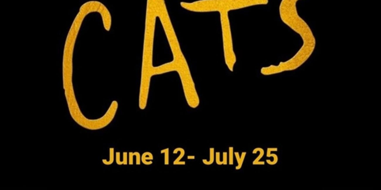 Review: CATS at Arizona Broadway Theatre