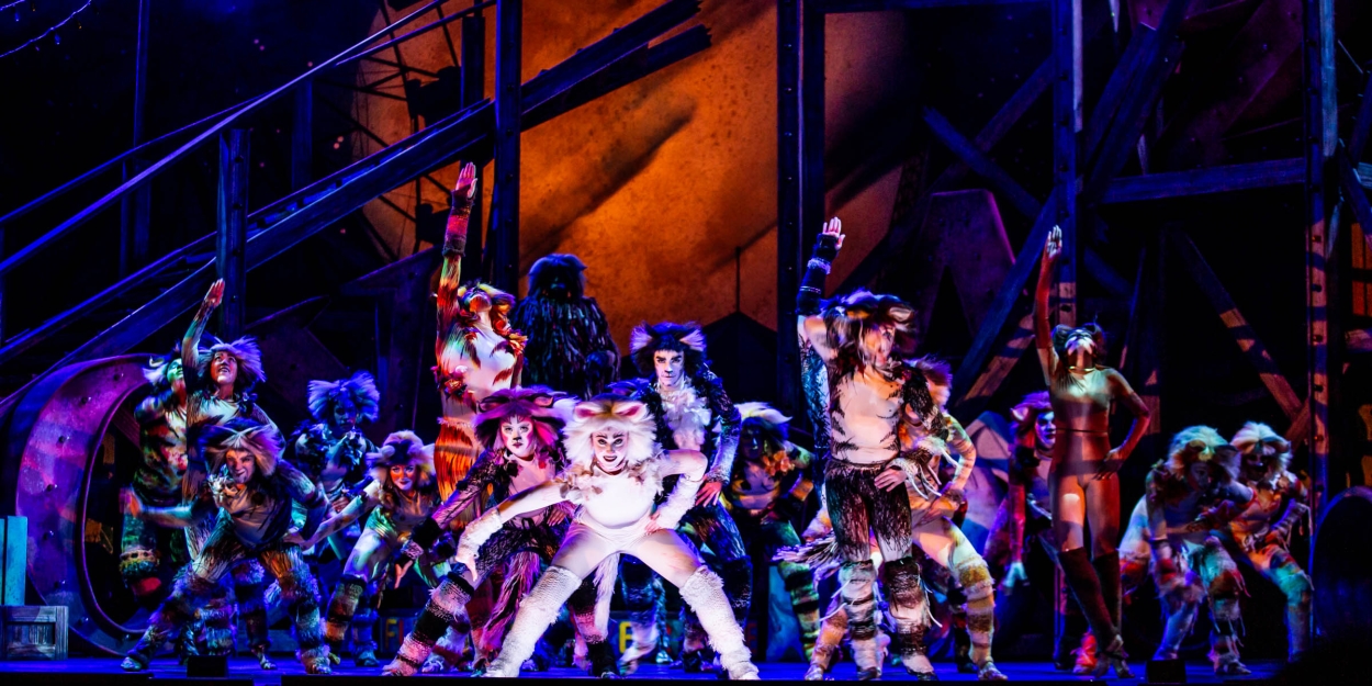 Review: CATS at Music Theatre Wichita