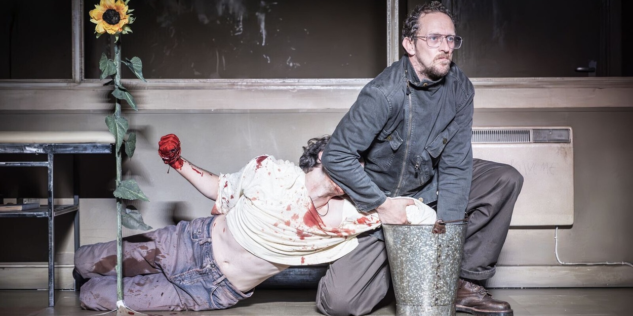 Review: CLEANSED, Almeida