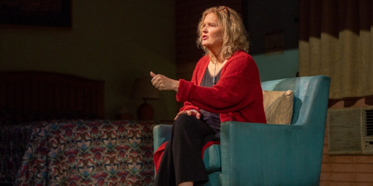 Review: DANA H. at Factory Theatre Photo