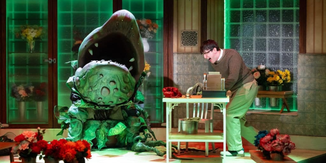 Review: DCPA Delivers a Killer LITTLE SHOP OF HORRORS Photo