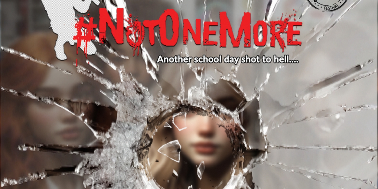 Review: Deborah Bostock-Kelley's Powerful NOT ONE MORE at the Tampa Fringe Festival  Image