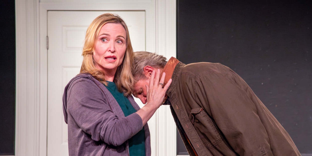 Review: HILLARY AND CLINTON at Dezart Performs