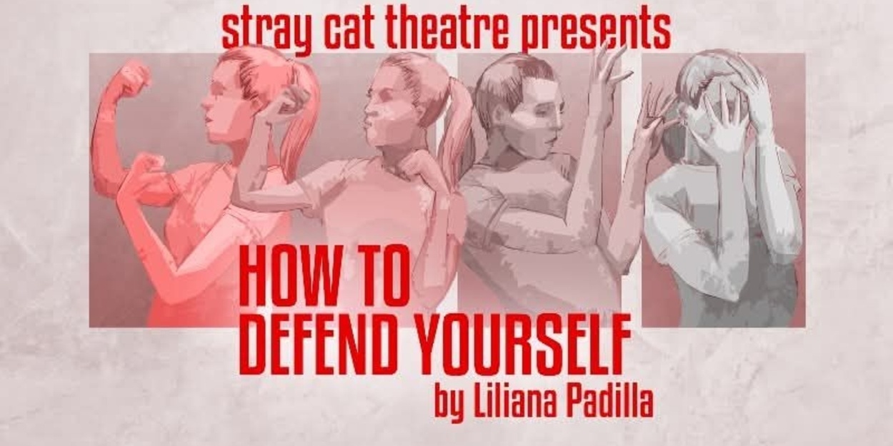 Review: HOW TO DEFEND YOURSELF at Stray Cat Theatre
