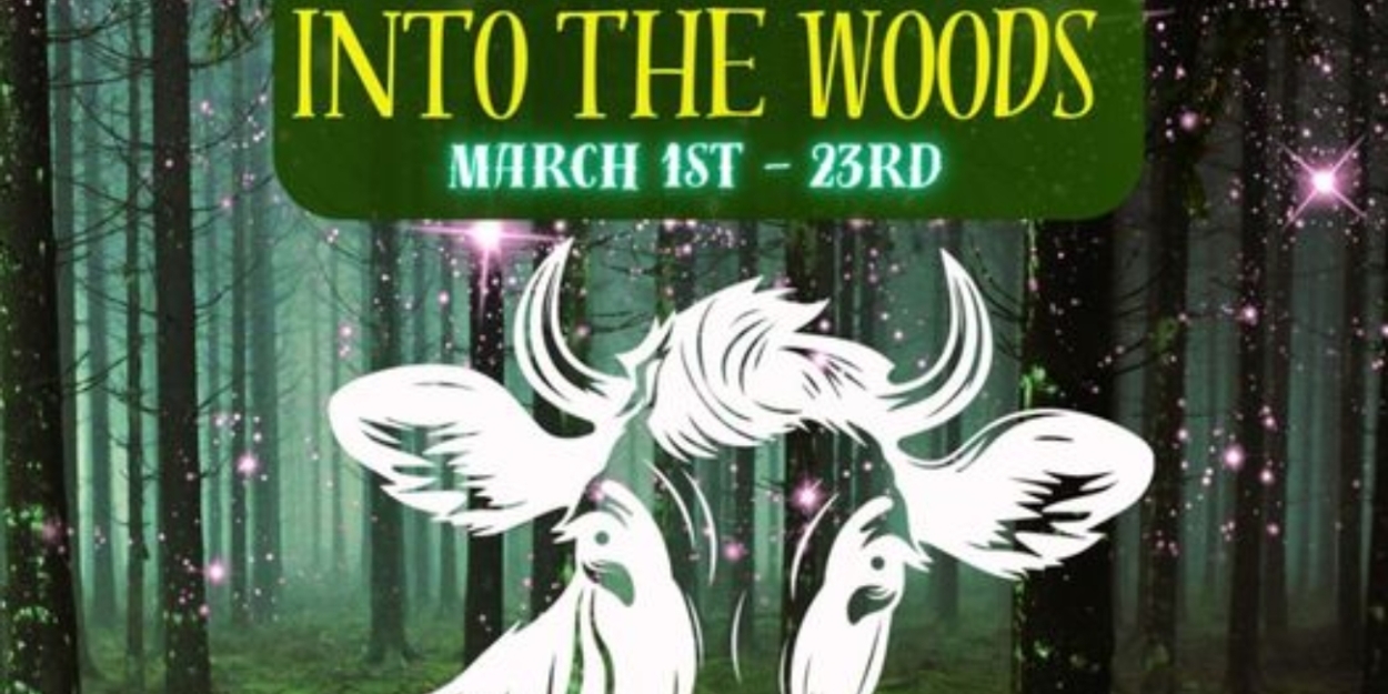 Review: INTO THE WOODS at Musical Theatre Southwest 