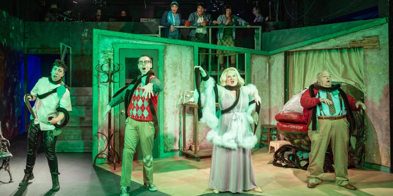 Review: LITTLE SHOP OF HORRORS at Lewisville Playhouse Photo